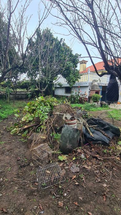 Limpeza de terrenos i jardins