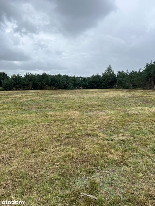 Działka budowlana 3010 m² prąd w drodze