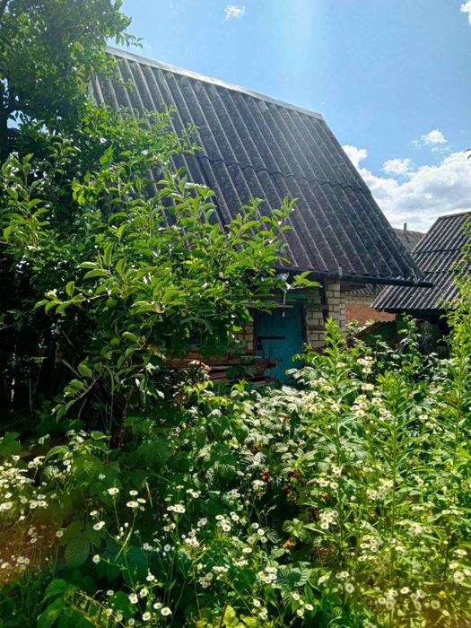 Продається дача в Барашівському масиві (Житловик)