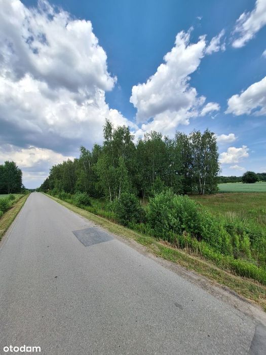 Piękna działka budowlana Przytoka 1000m Kałuszyn, Mińsk Maz. media! - Widok 5