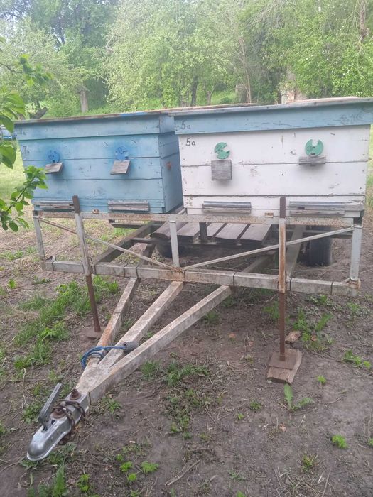 Причеп для пасіки, для бджіл, причеп-платформа
