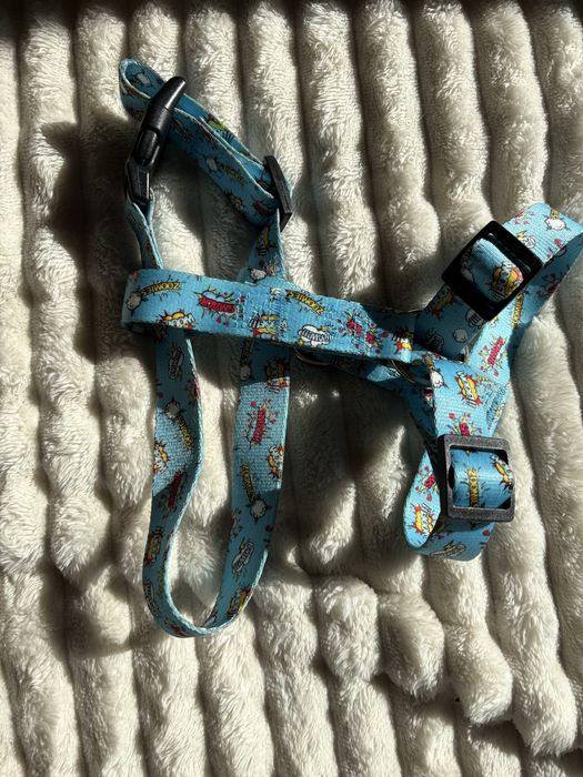 Komplet dla psa niebieski