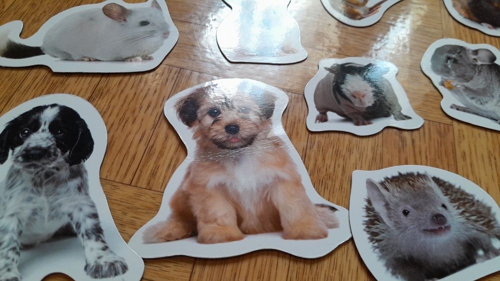 Magnesy na lodówkę ze zwierzętami