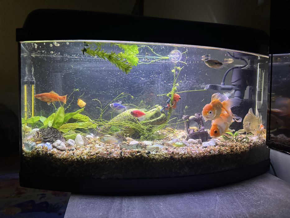 Акваріум 50літрів