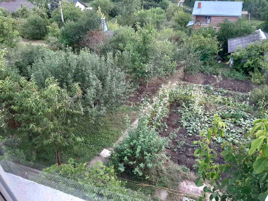 Продаж дачі в с. Підгородне