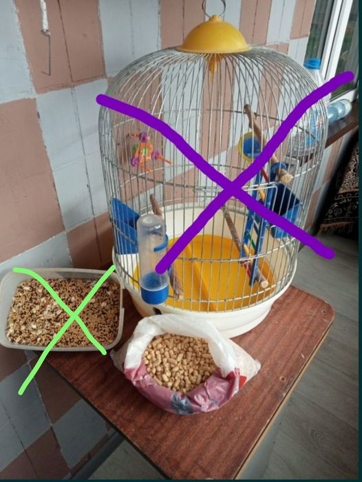 Продам підстилку древесную для папуги