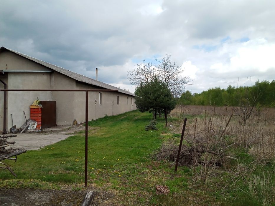 Dom i Hale położone w bardzo dobrej lokalizacji