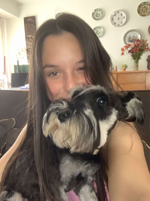 passear cães / dog walking