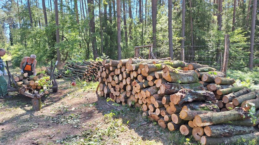 Drewno opałowe zapewniamy  transport