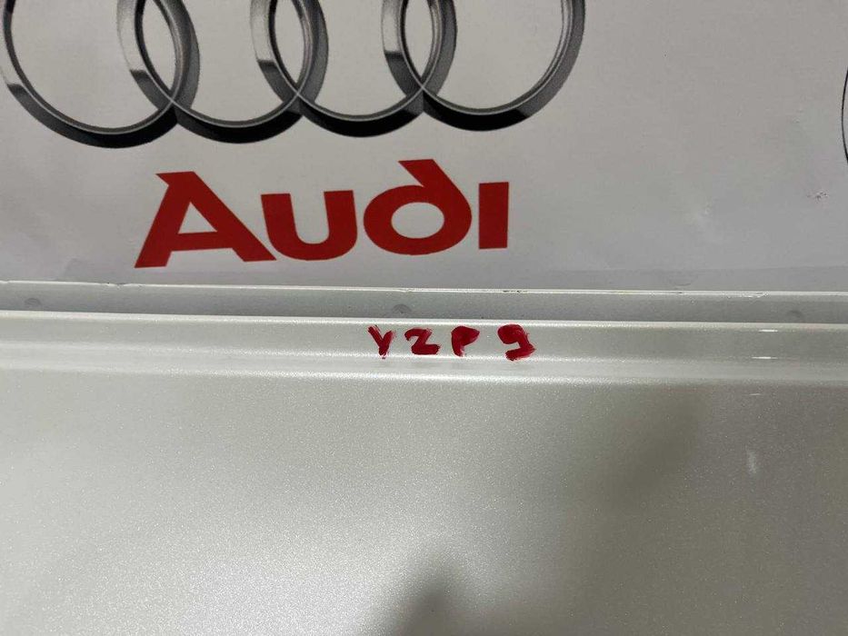Двері задні праві Tesla Model,Y PPSW (YZP9)