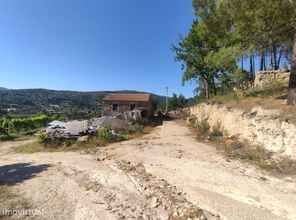Quinta  Venda em Vela,Guarda