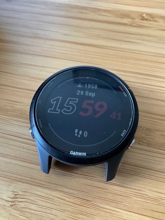 Garmin Forerunner 255 Cinza Ardósia