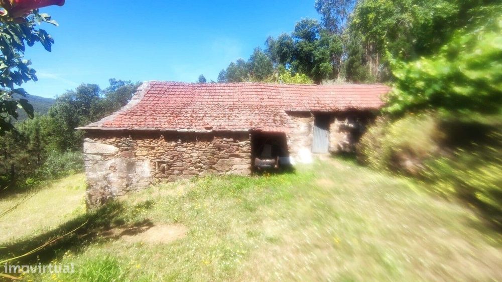 Casa/ Ruína em S. Miguel do Mato
