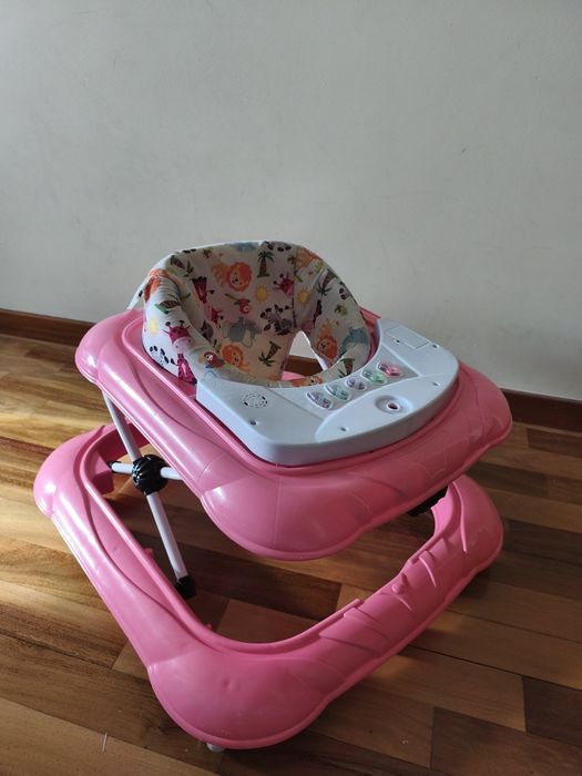 Aranha andarilho primeiros passos