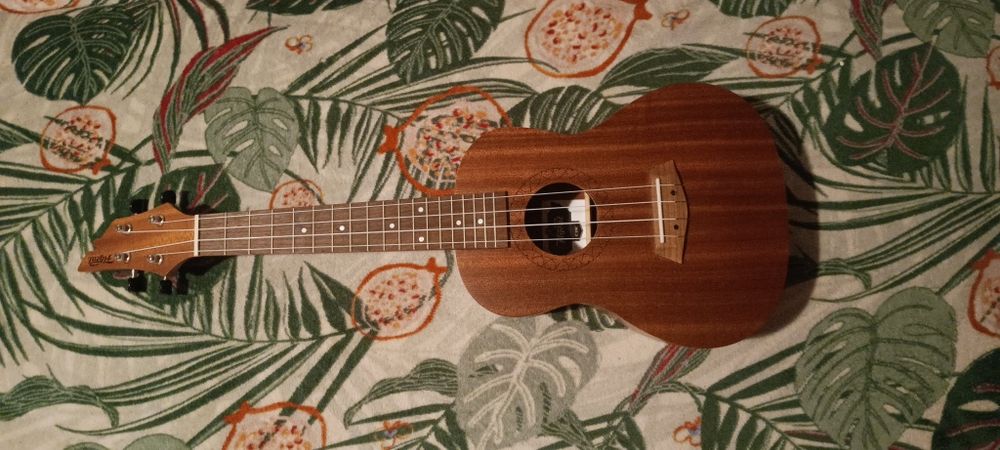 Ukulele koncertowe  firmy flycat