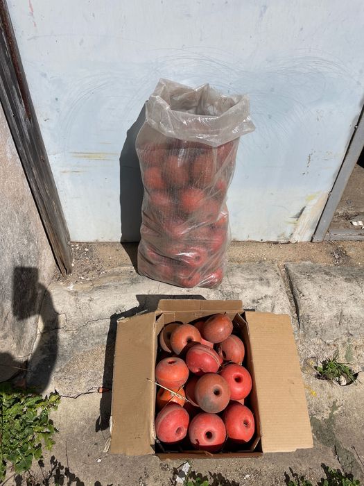 Nassas / Covos /Boias para pesca