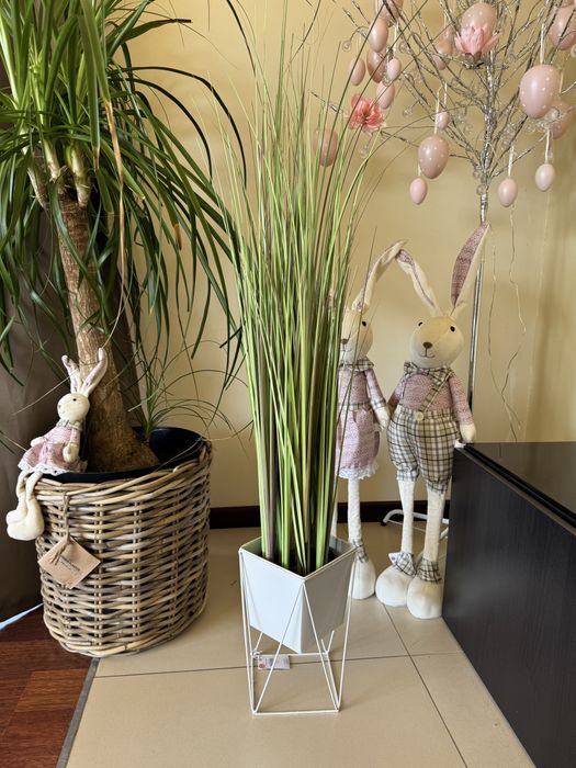 Wysoka trawa z doniczką