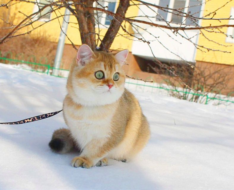 Шикарний хлопчик чекає найкращу маму