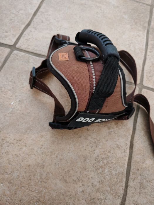 Corpete para cão. De porte médio "grande"