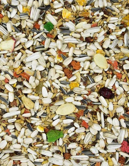 MDM Papuga Duża VITA-ORGANIC z owocami 5 kg ** zwierzogrod.in **