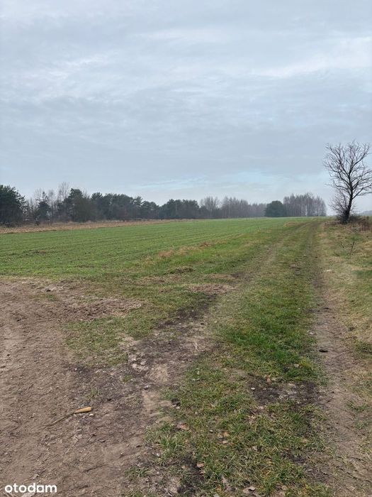Działka rolno - inwestycyjna  23100 m2  z możliwością zabudowy