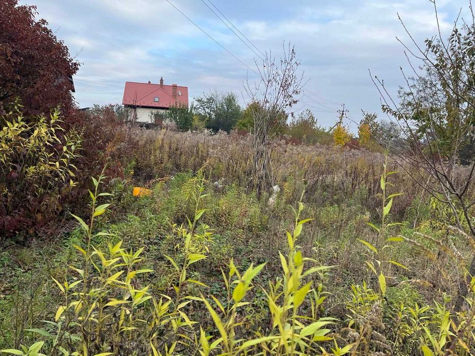 Чернівці 0,8265 га (землі житлової та громадської забудови)