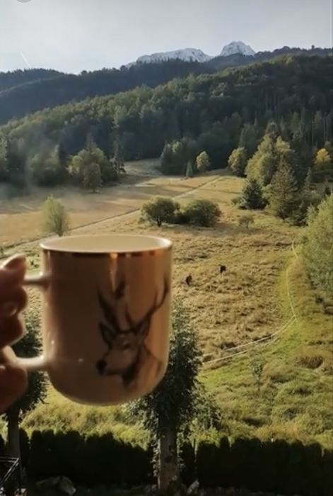 Willa Bachledówka pokoje/noclegi Zakopane