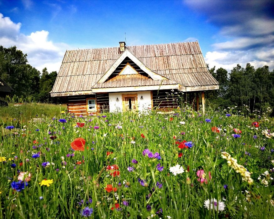 noclegi Bieszczady KAAJówka Ludowe Chaty dom wakacje ferie w gó
