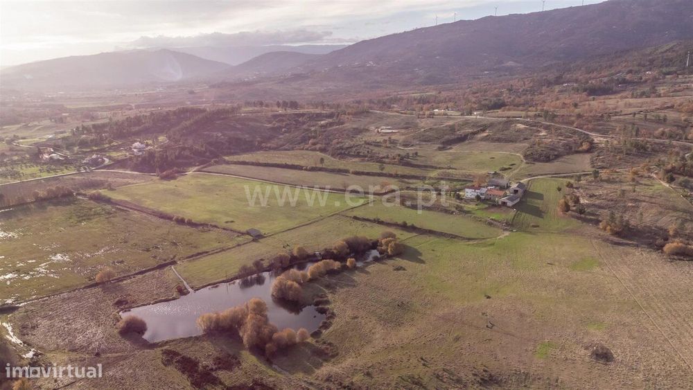 Quinta T5 / Guarda, Vela