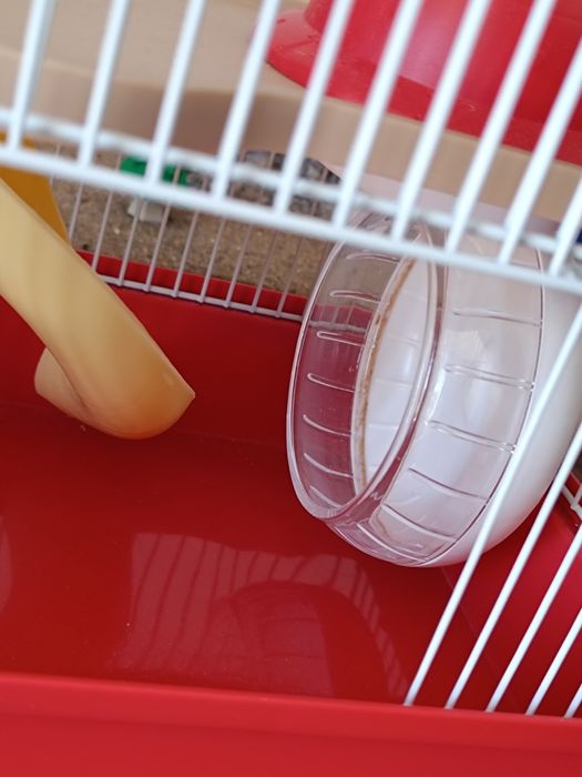 Casa para hamster usada apenas 2 meses Penafiel • OLX.pt