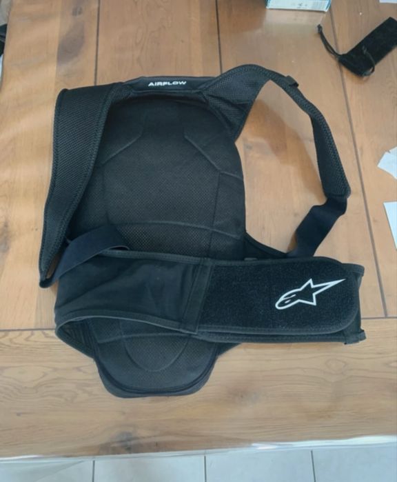 Alpinestars Evolution Back Protector