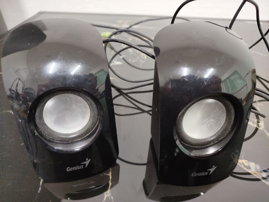 Комп'ютерні колонки Genius для підключення до ПК або ноутбука.