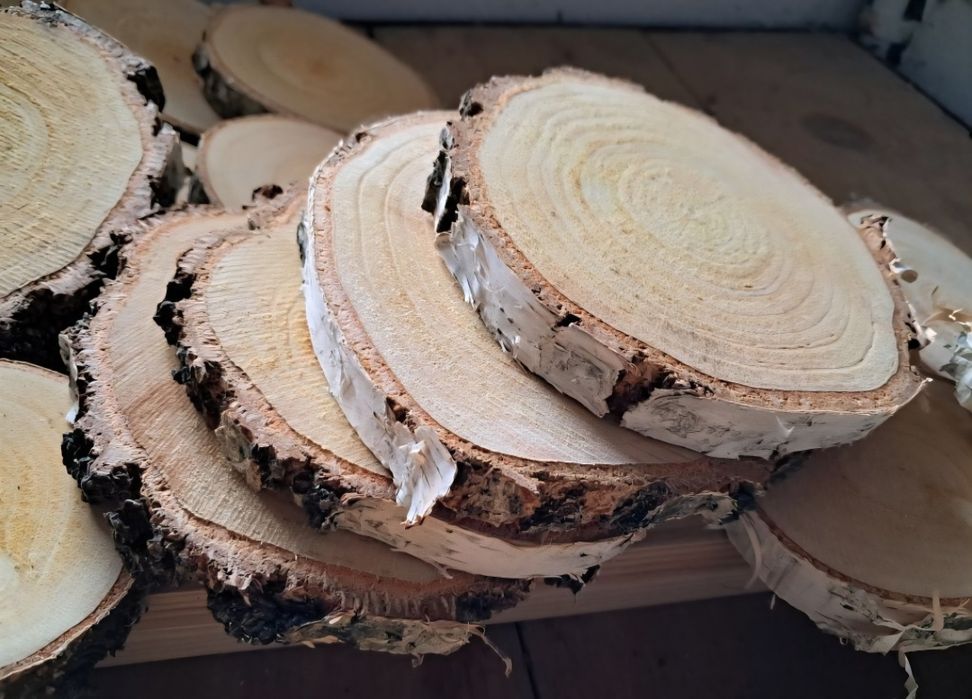 Krążki Brzozowe Plastry - na stroik - zestaw 10 szt. - Handmade