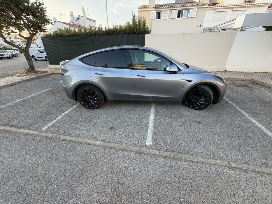 Tesla model Y performance