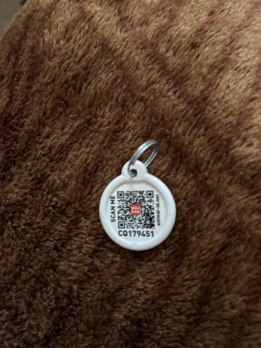 Нашийник шкіряний з світловідбивачем,адресник