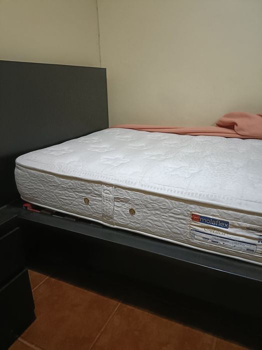 Colchão molaflex alta qualidade