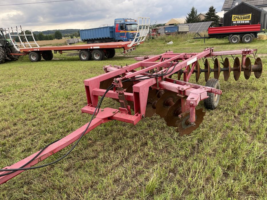 Brona talerzowa lilla harrie