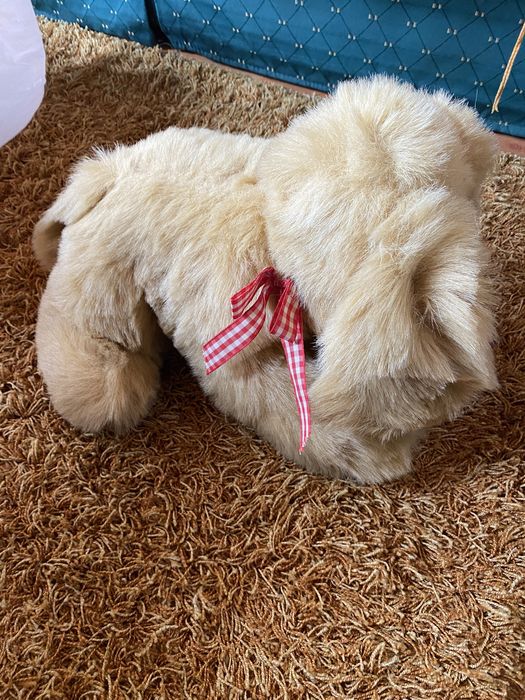 Cãozinho de peluche bom estado