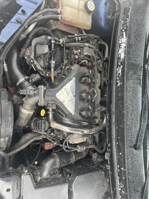 Продаж Ford Focus 2008 2.0 TDI