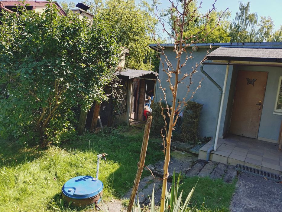 Ogródek działkowy ROD z murowaną altaną - Widok 5