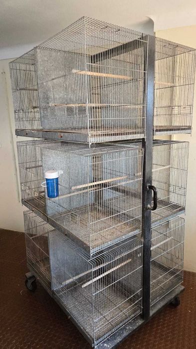 Armaçao em ferro para passaros