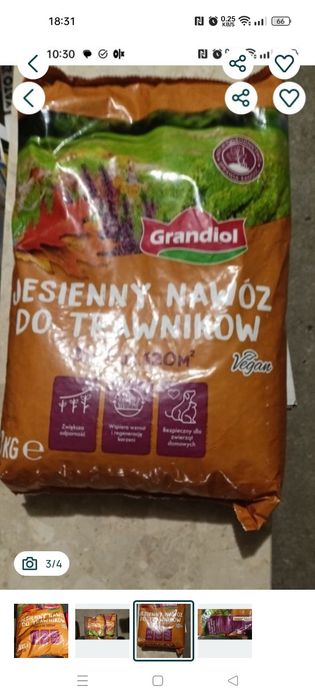 Grandiol nawóz jesienny do trawników 3kg