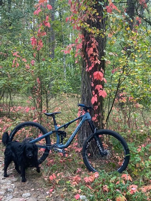 Norco sight c3 S