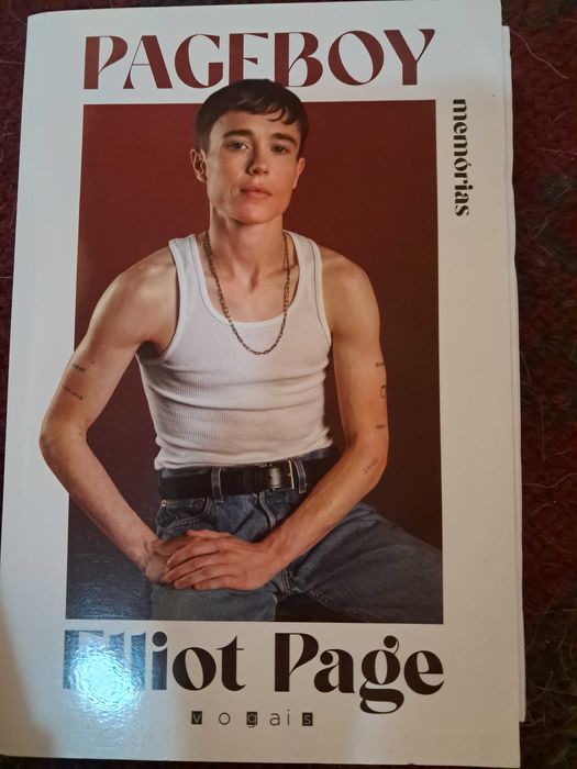 Literatura gay vários livros