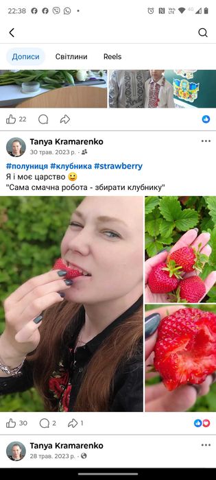 Полуниця Гігантелла саджанці