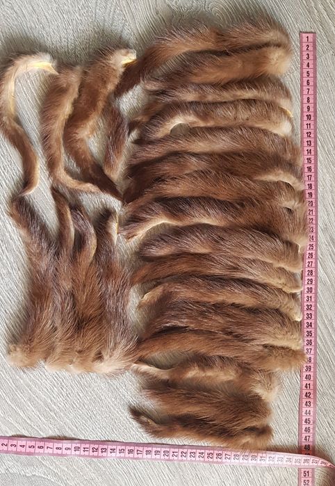 Норка хвостікі шкірка