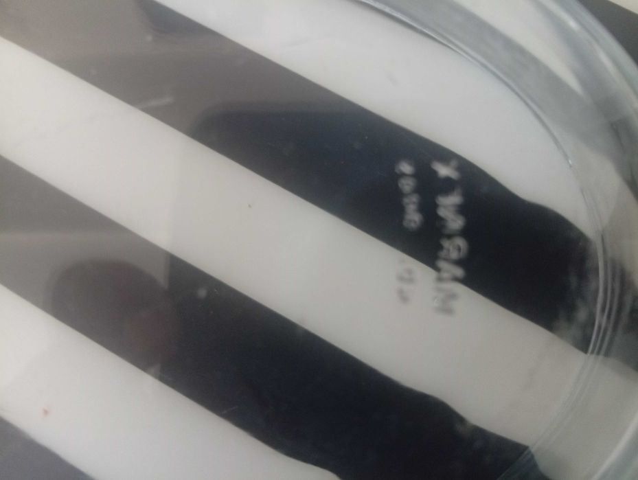 Pirex oval, com pegas