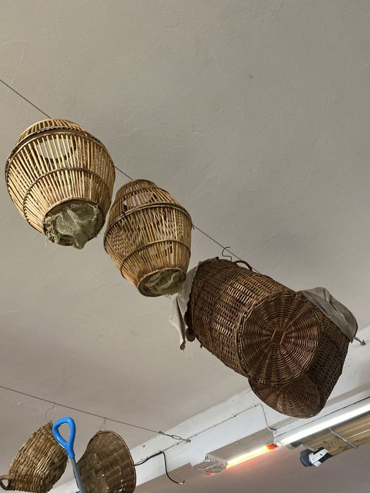 Cestas de vime varios modelos