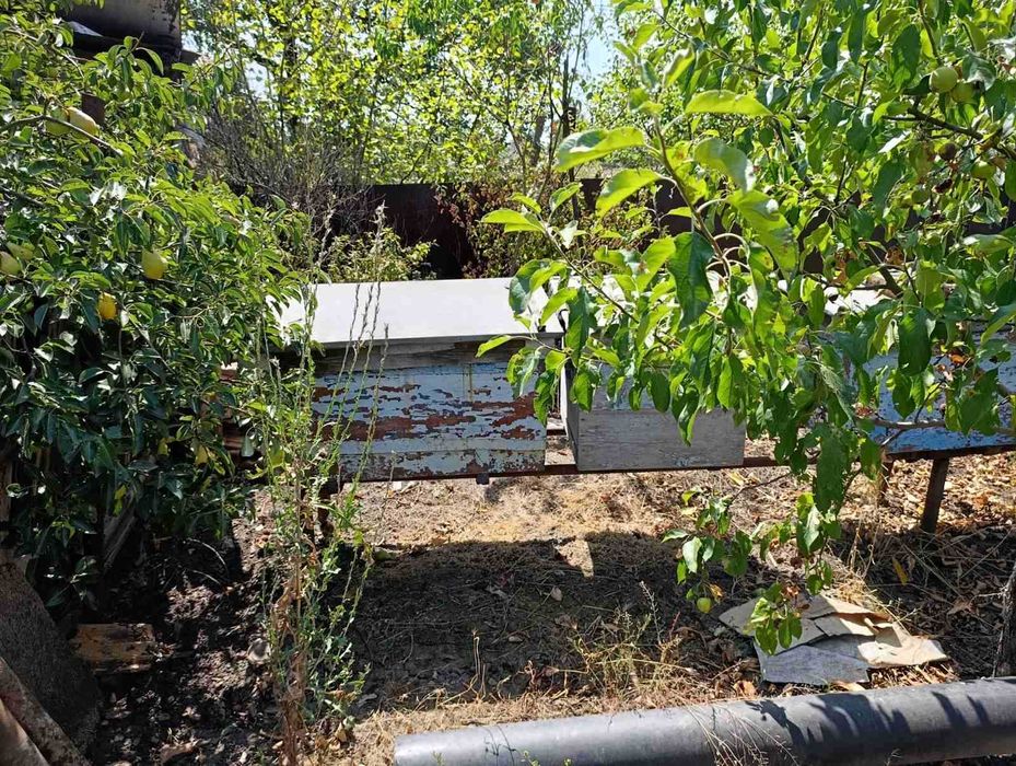 Продаж Вуликів для бджіл