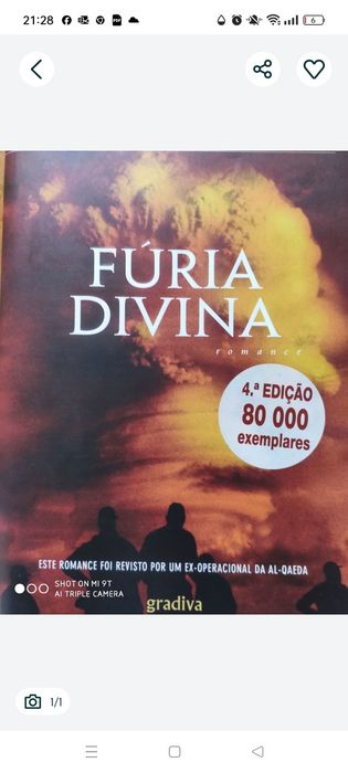 Divine Fury